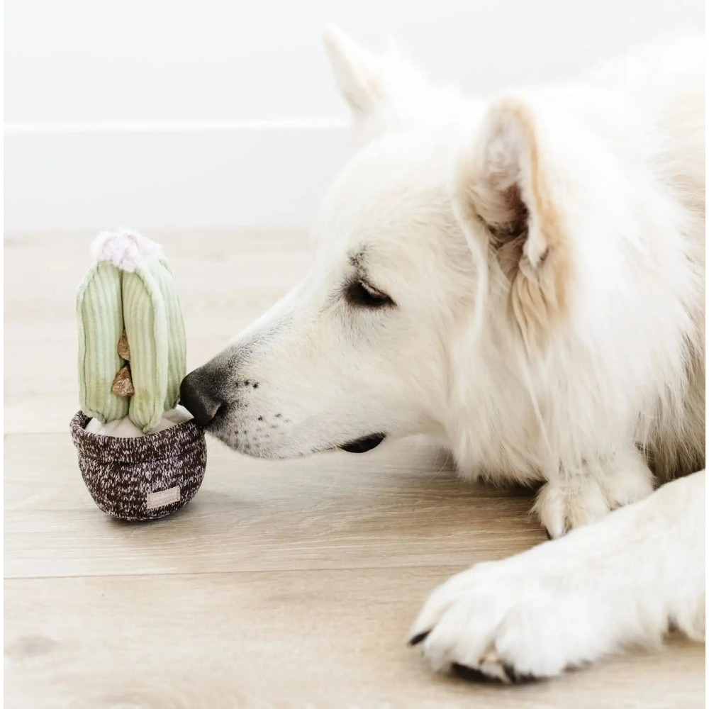 Пошукова іграшка для собак CACTUS Lambwolf