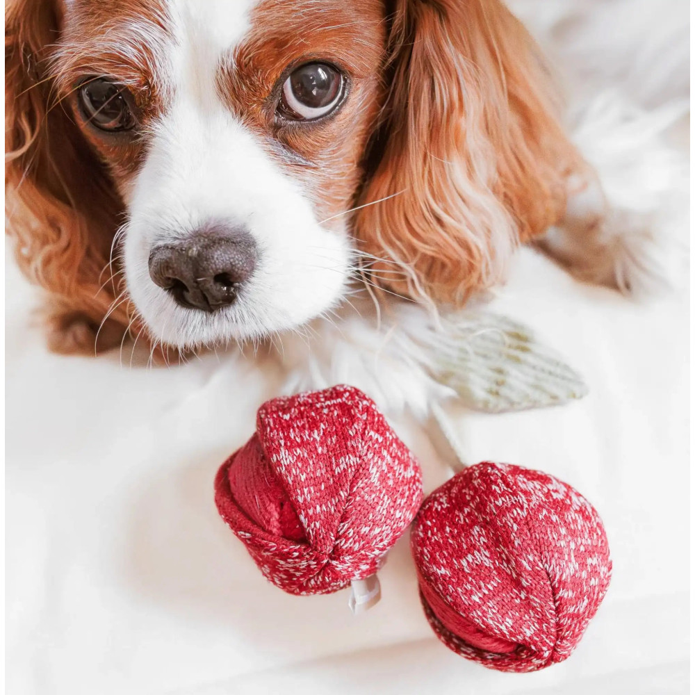 Пошукова іграшка для собак Cherry Pops Lambwolf