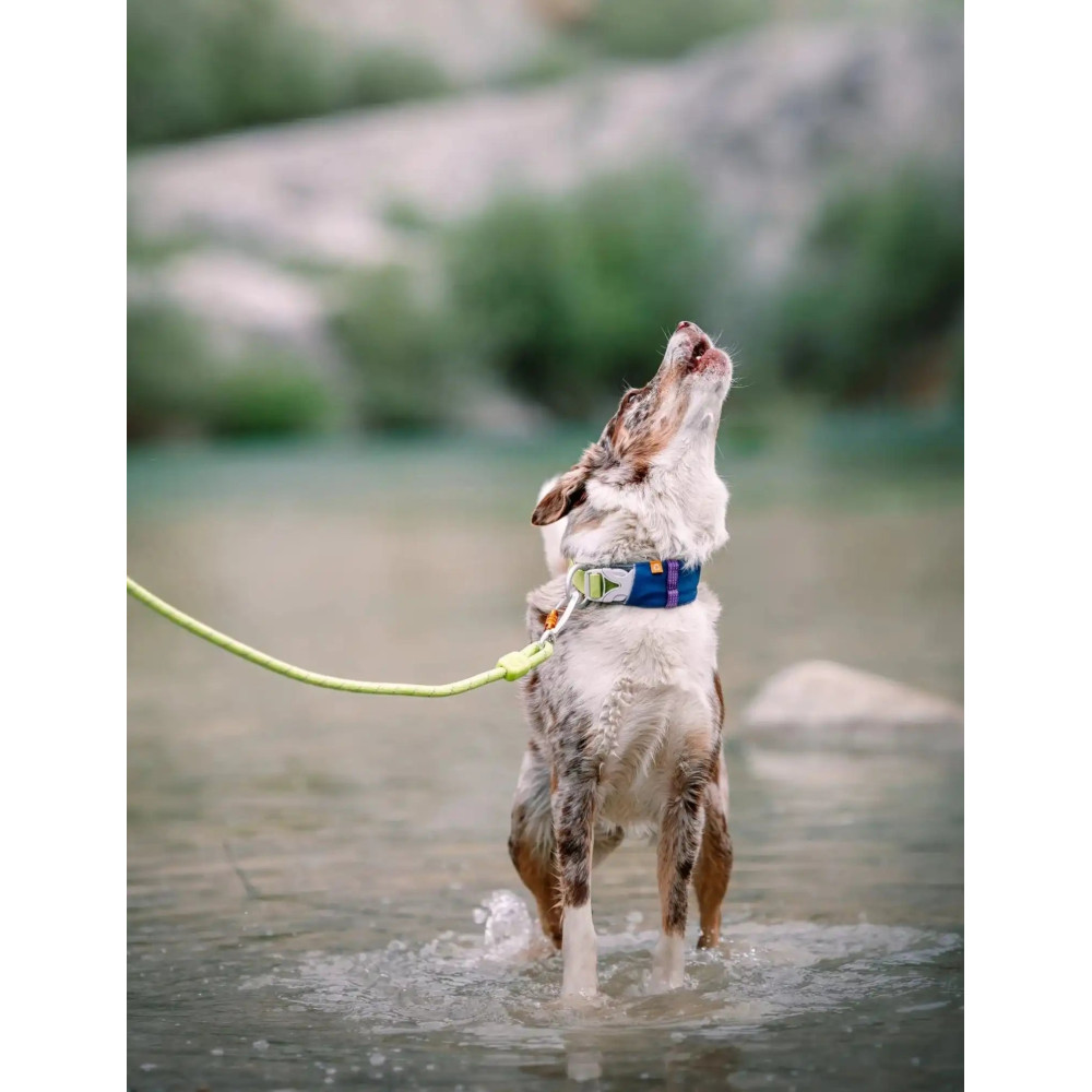 Нашийник Woolly Wolf Alpha 360 Collar Deep Teal Mix, S