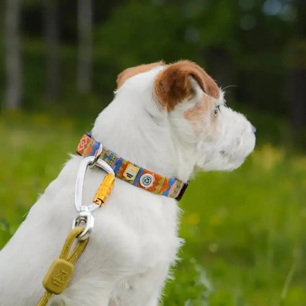 Повідець Woolly Wolf Rope Leash Pistachio - 180 см, 8мм