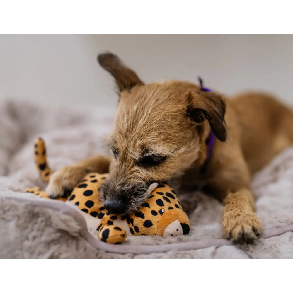 Іграшка для собак Africa Big Five - Leopard Pet Play