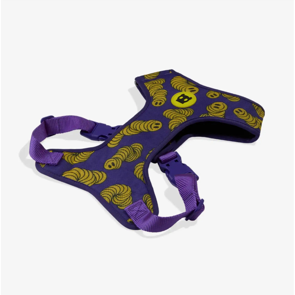 ШЛЕЯ ДЛЯ СОБАК ZEE.DOG - Zmiley ADJUSTABLE AIR MESH HARNESS, XS