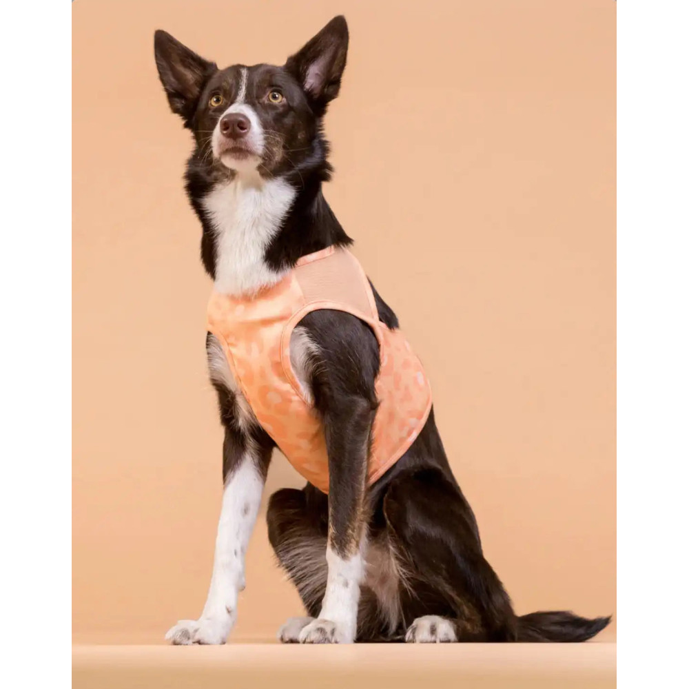 Охолоджуючий жилет для собак PAIKKA Cool Vest Peach, XXS