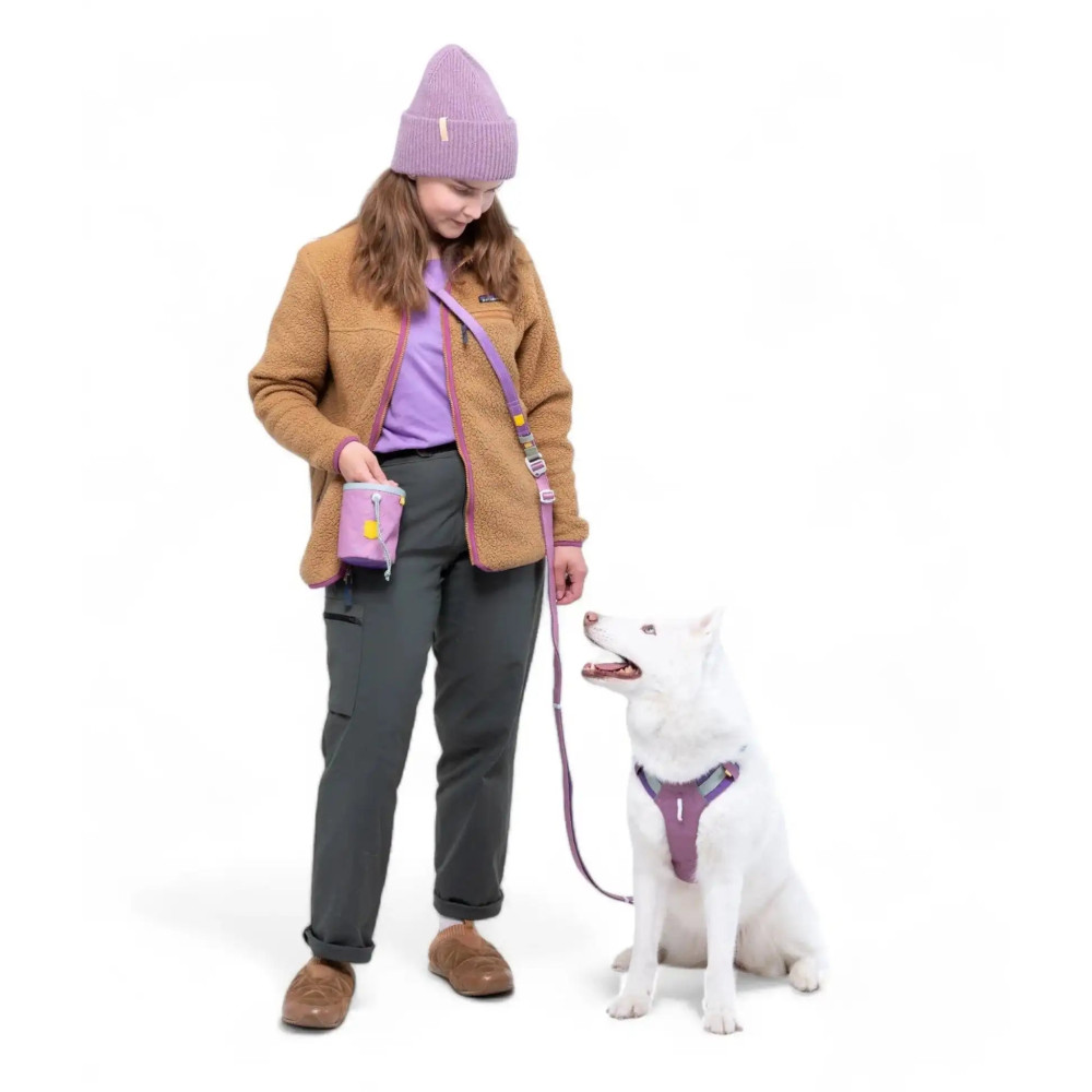 Шлея для собак Alpha 360 Woolly Wolf Mauve Mix, M