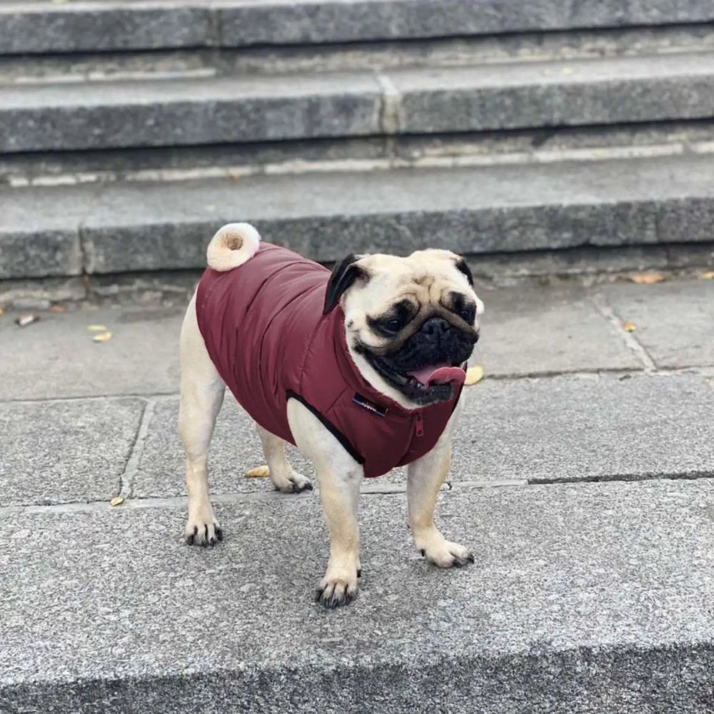 Куртка для собак Scotty Bordo - Noble pet, XS