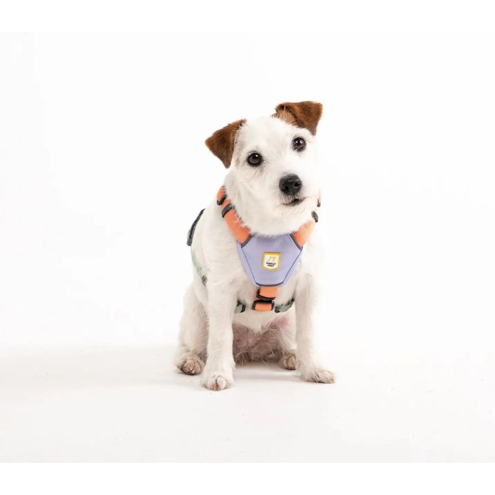 Шлея для собак Woolly Wolf Color Block Harness Salmon Pink Mix, XXS