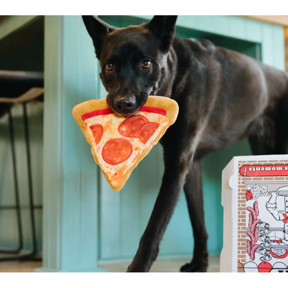 Іграшка для собак Snack Attack - Puppy-roni Pizza Pet Play, Mini