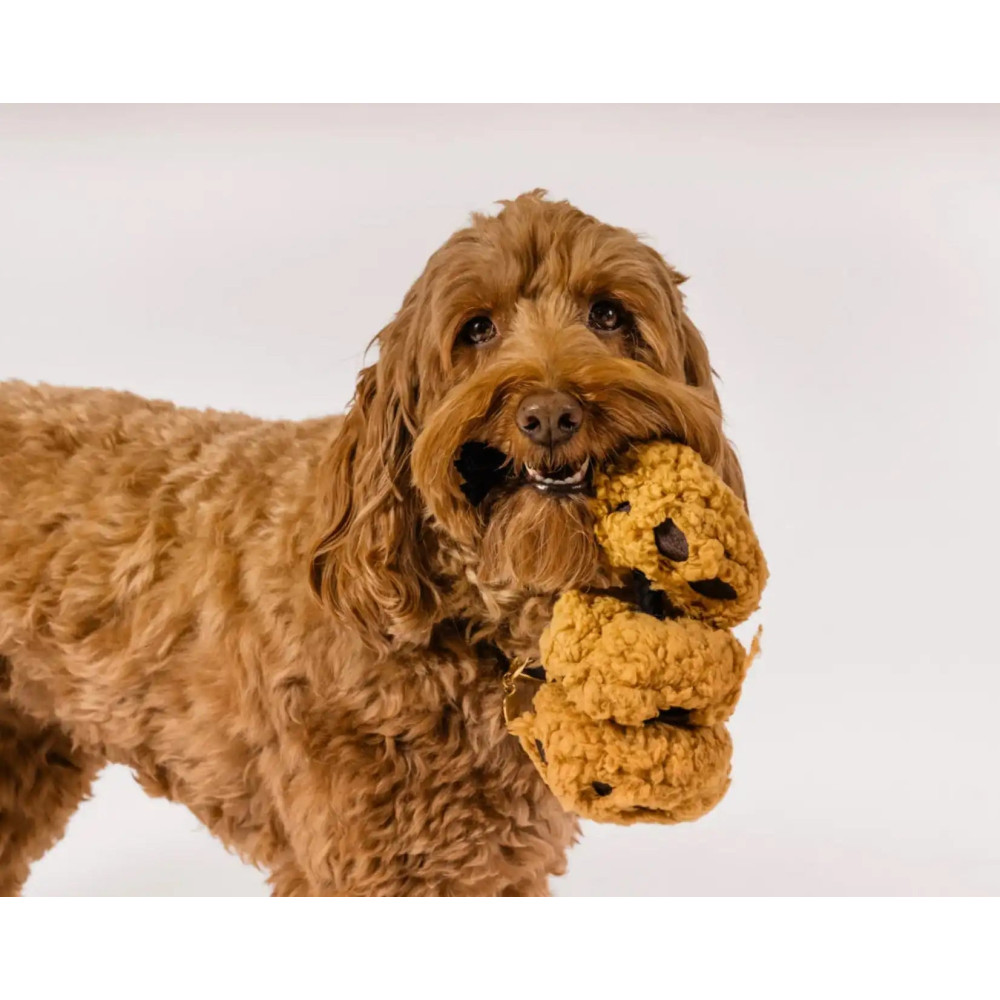 Іграшка для собак Pup Cup Cafe - Cookies Pet Play, Mini
