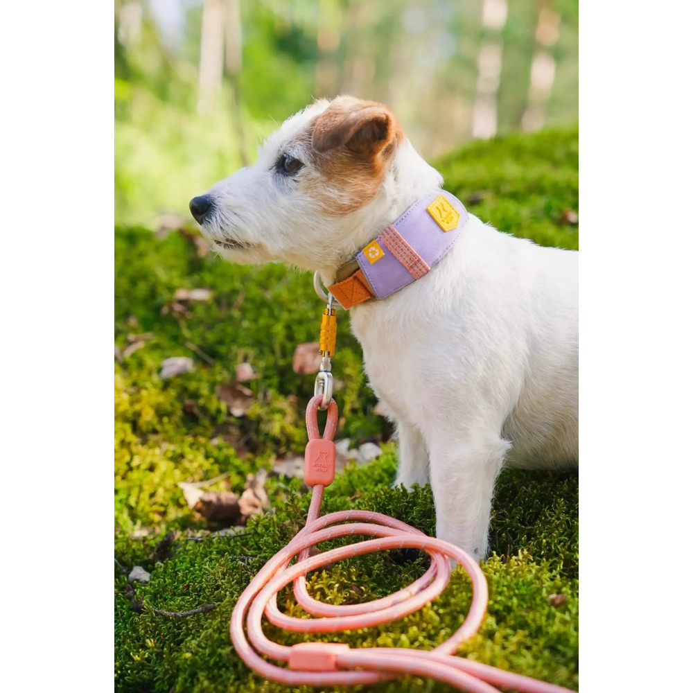Нашийник Woolly Wolf Alpha 360 Collar Lavender Mix, S