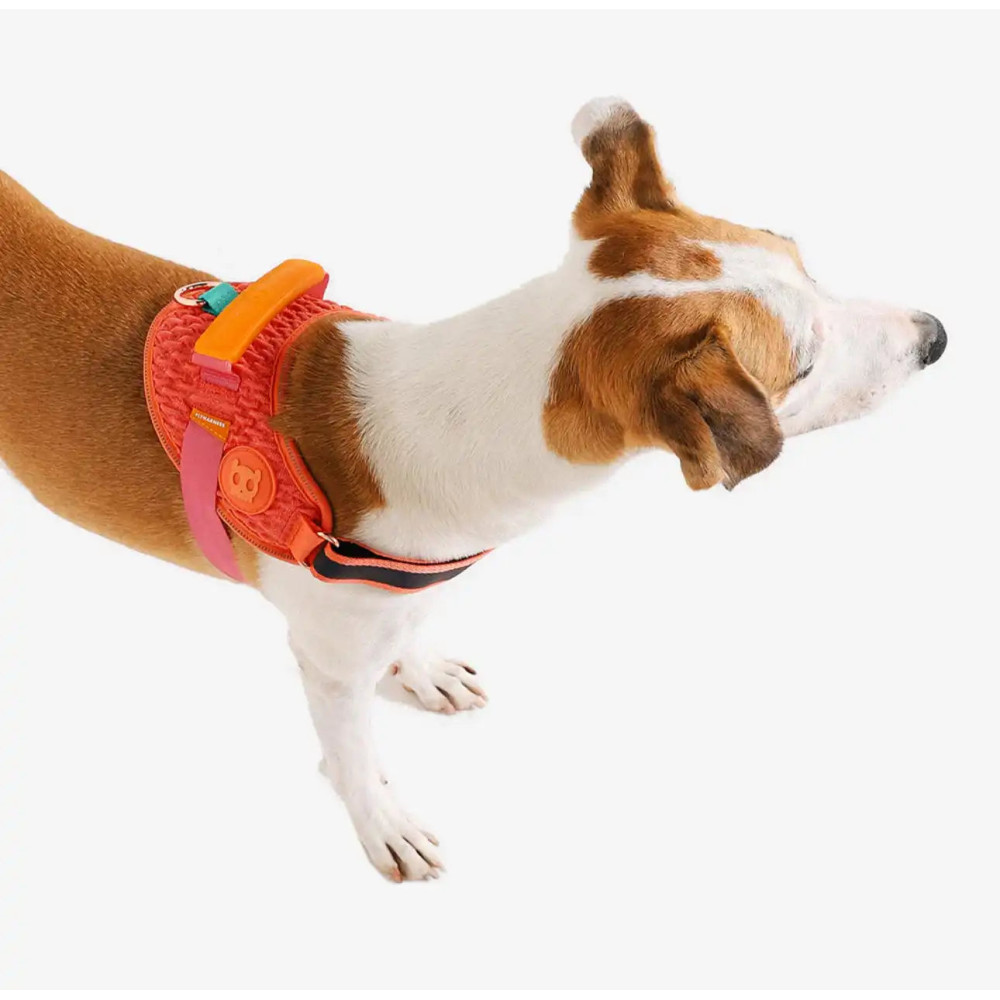 Шлея для собак Zee.Dog - Gazelle FlyHarness, 1