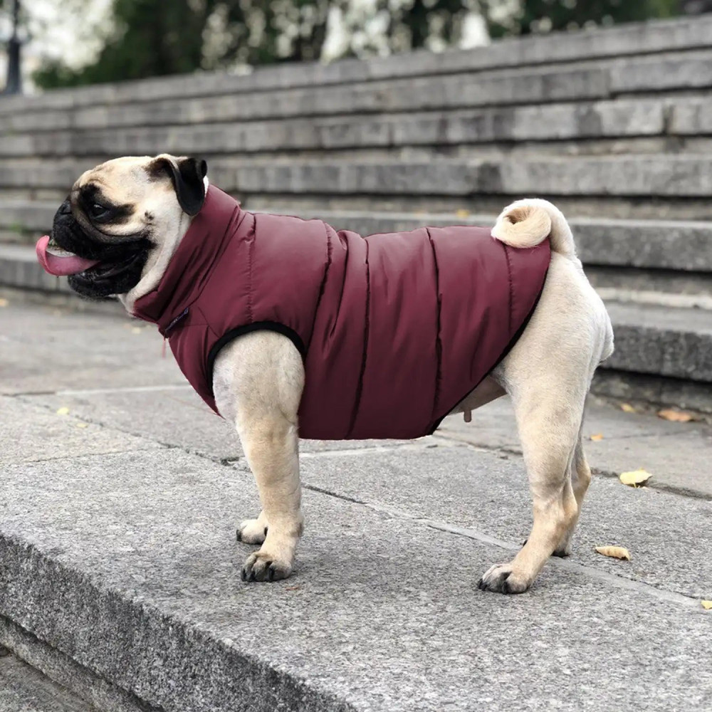 Куртка для собак Scotty Bordo - Noble pet, XS