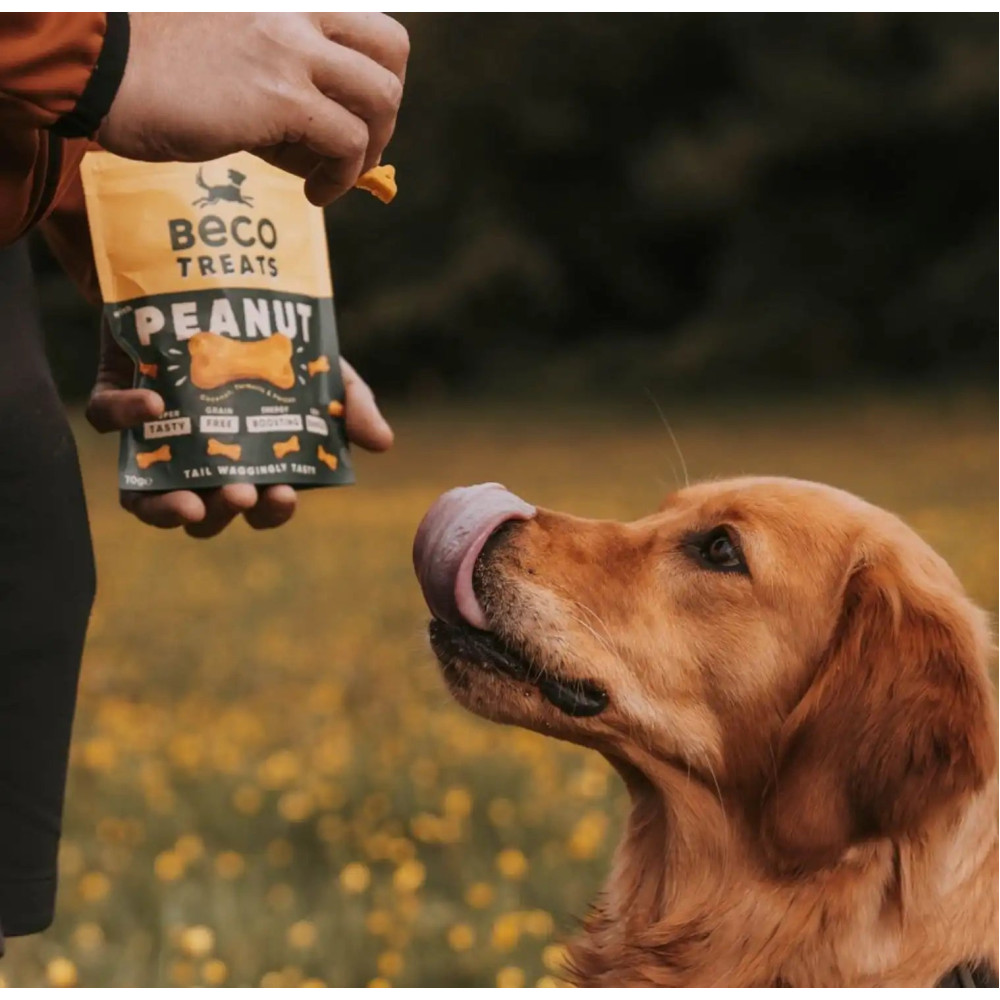 Печиво для собак Beco Pets Арахіс з кокосом і куркумою 70 г (рослинний білок), 70 грам.