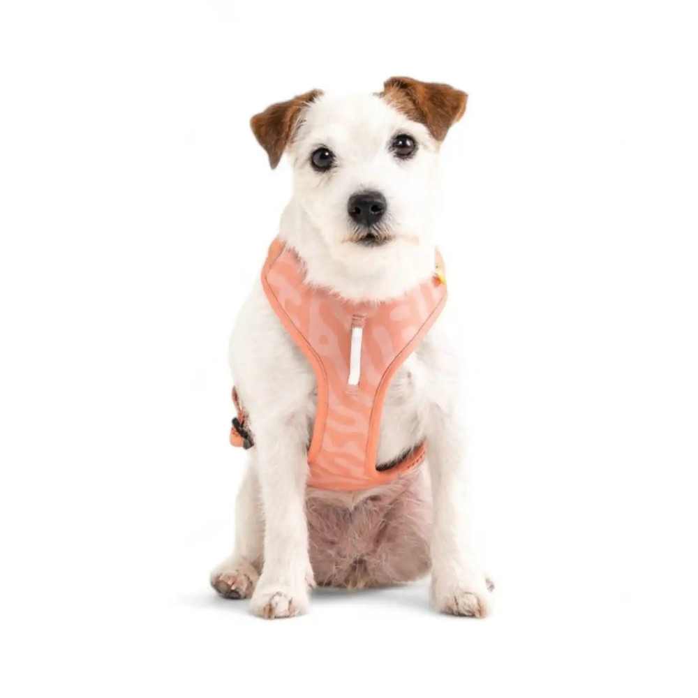 Шлея для собак Woolly Wolf Roam Harness Salmon Pink, XS