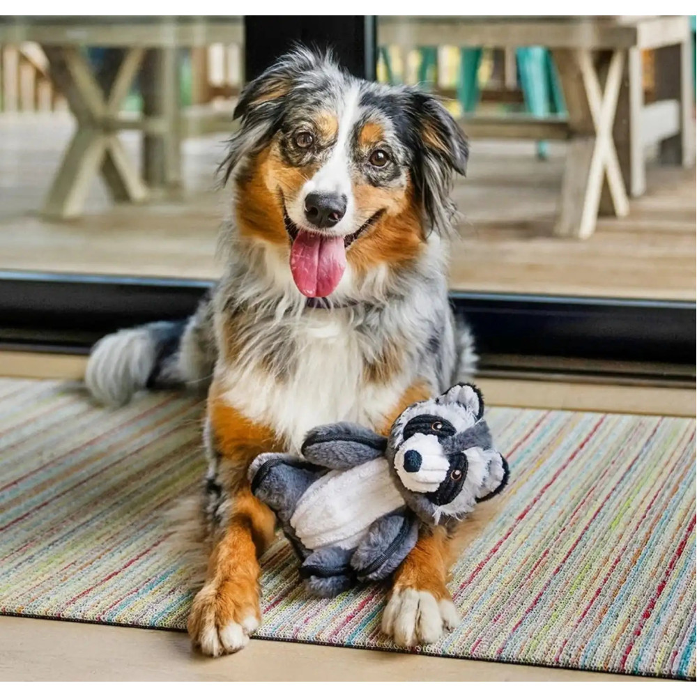 Іграшка для собак Raccoon Forest Friends Pet Play