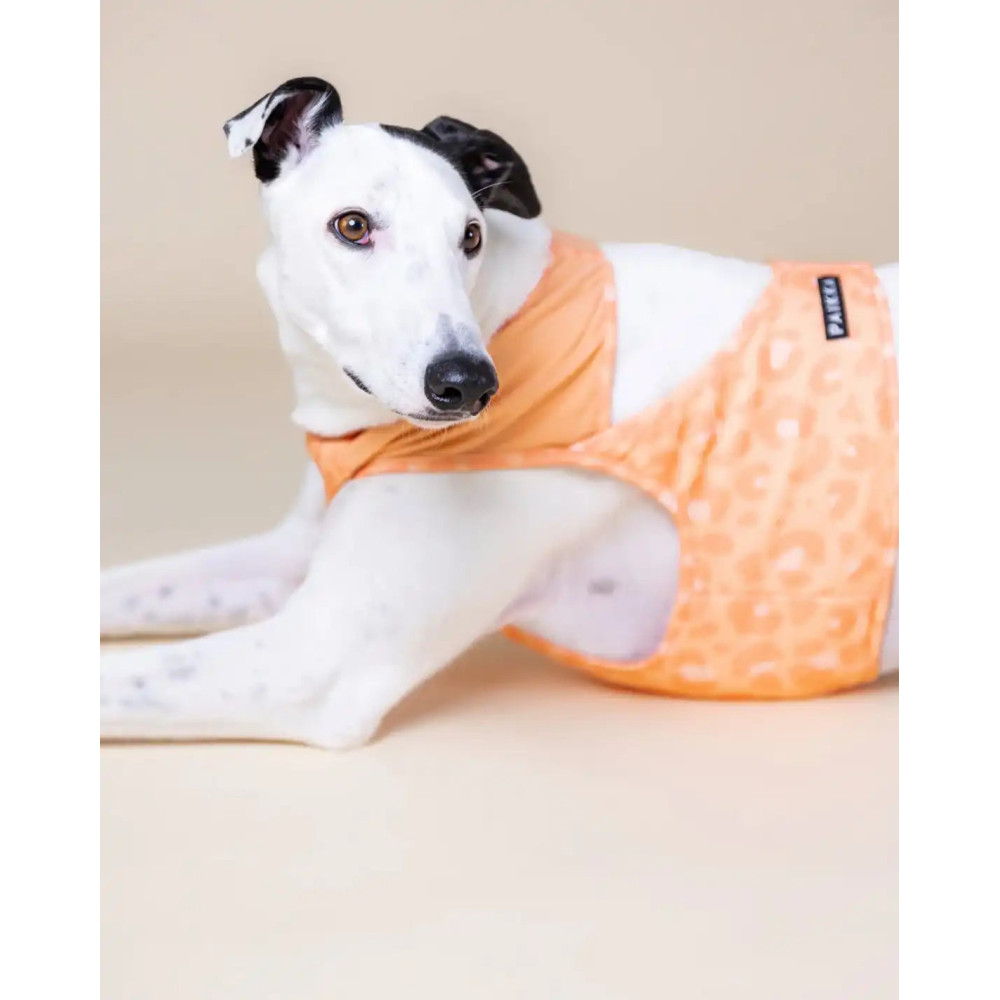 Охолоджуючий жилет для собак PAIKKA Cool Vest Peach, XXS