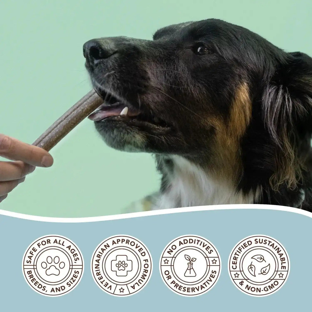 Веганські гіпоалергенні ласощі для чистки зубів Natural Dog Company Dental Treats, 18 шт.