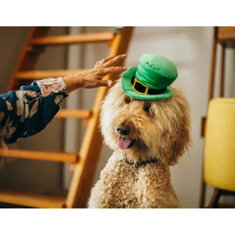 Капелюх для собак Mutt Hatter - Leprechaun Pet Play