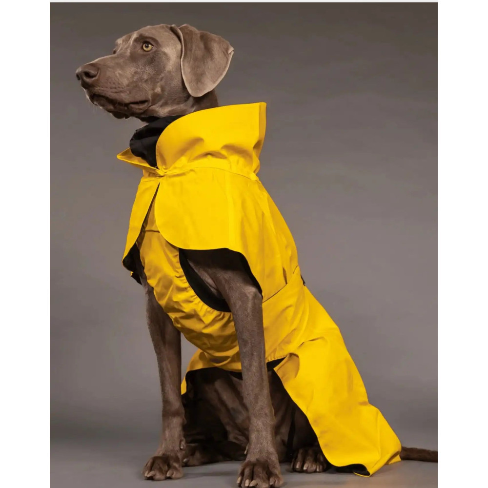 Дощовик для собак, Lite Yellow Paikka, 20