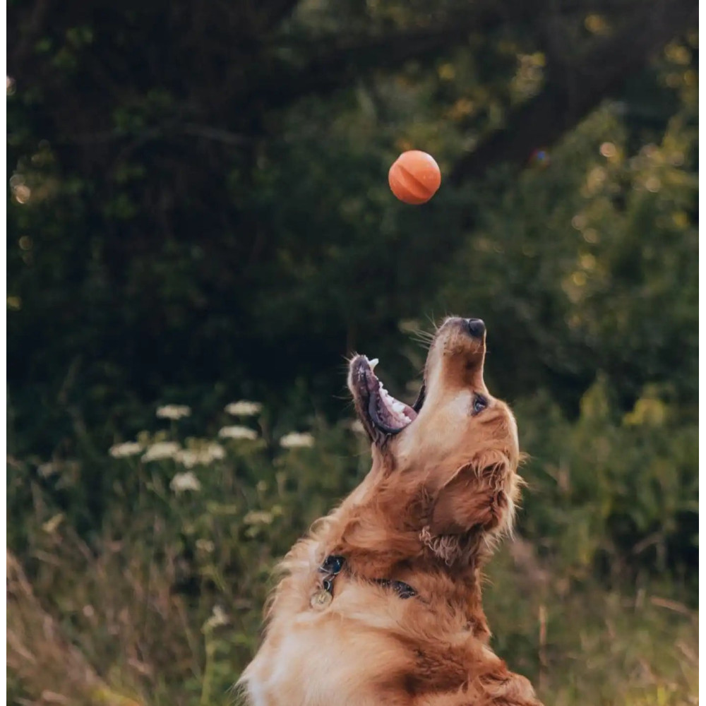 Іграшка м'ячик з отвором для ласощів для собак Beco Pets Fetch Ball Помаранчевий