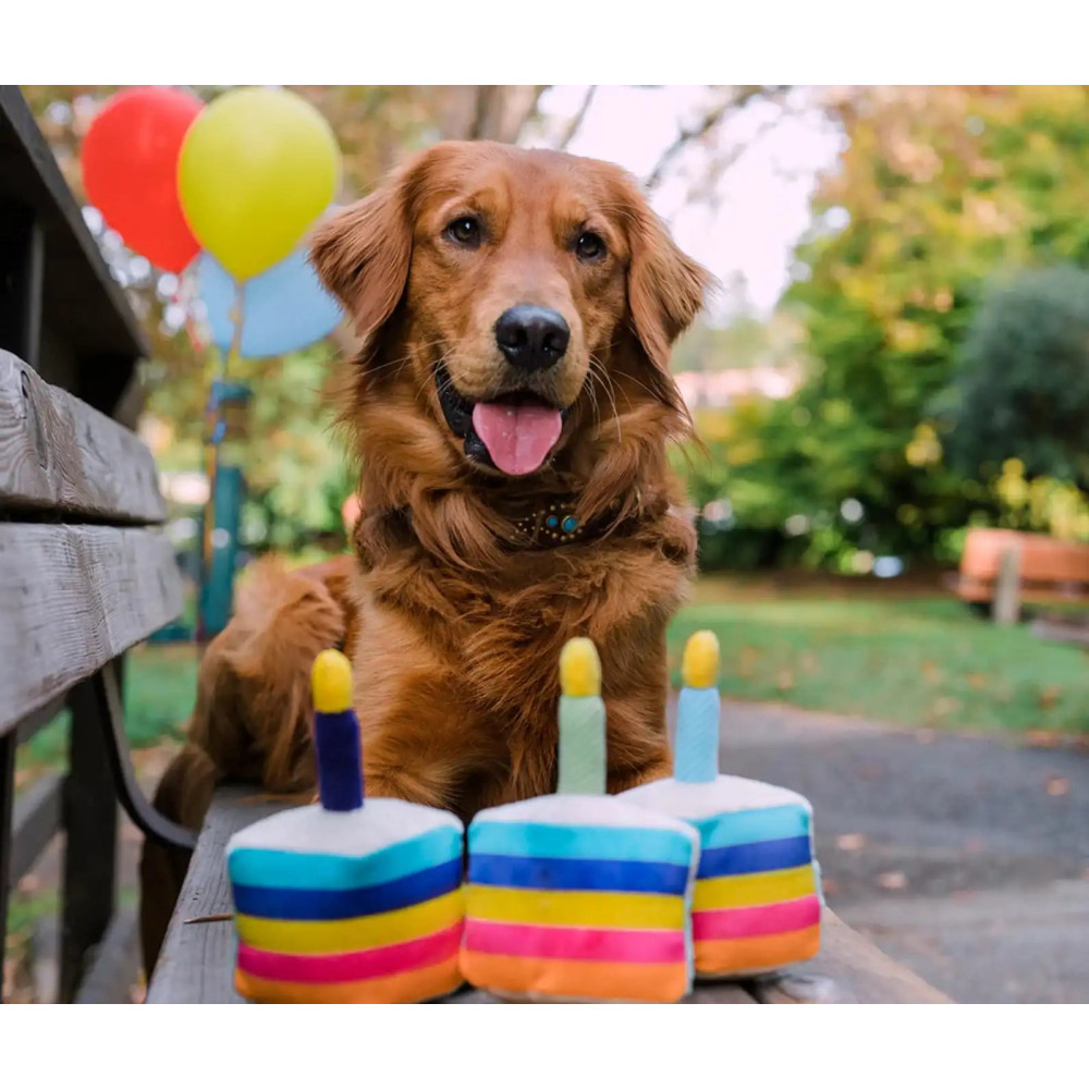 Іграшка для собак Party Time Collection - Cake Pet Play, Mini