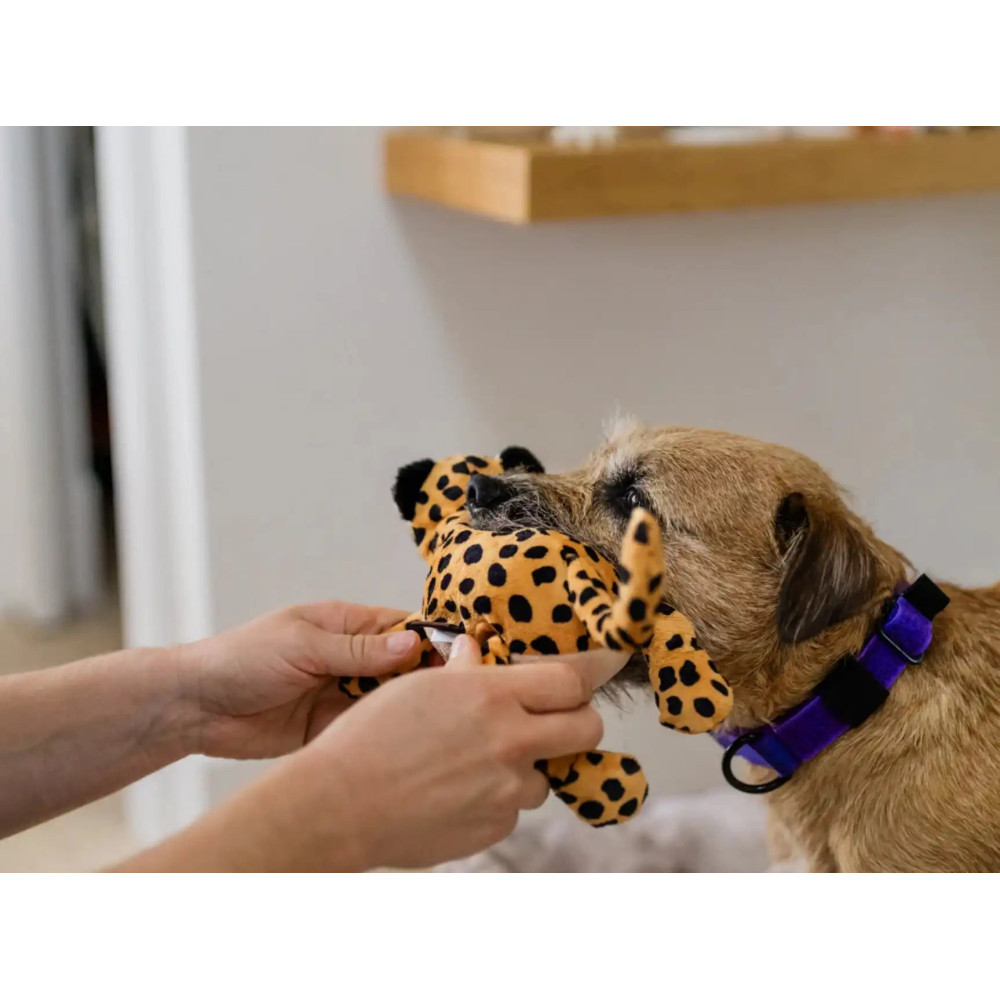 Іграшка для собак Africa Big Five - Leopard Pet Play