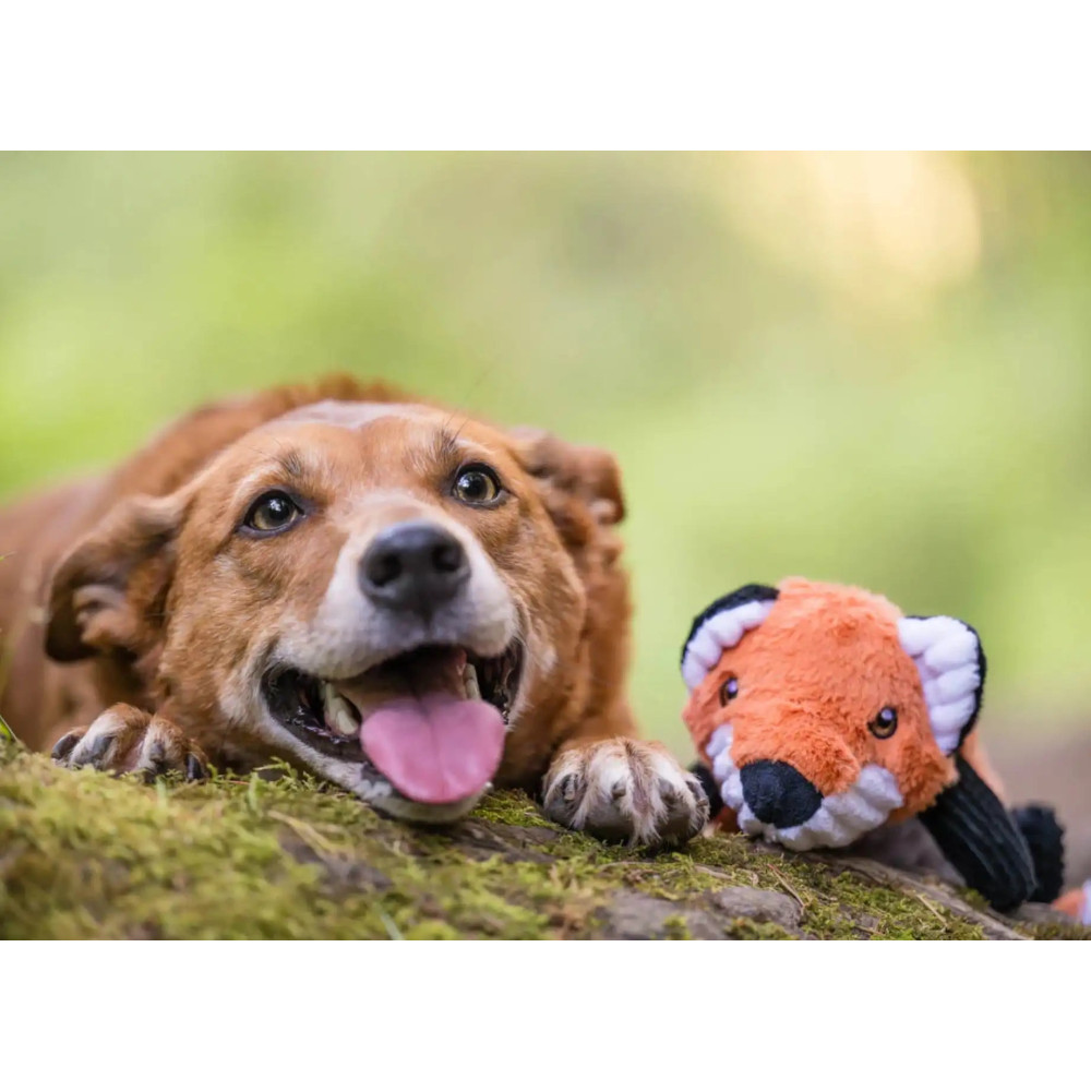 Іграшка для собак Forest Friends Forest the Fox