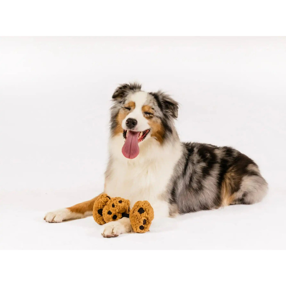 Іграшка для собак Pup Cup Cafe - Cookies Pet Play, Mini