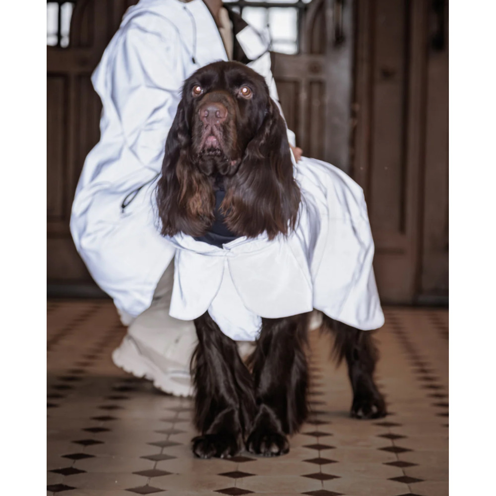 Дощовик для собак з світловідбиваючим ефектом PAIKKA Visibility Raincoat Lite Taupe, 20