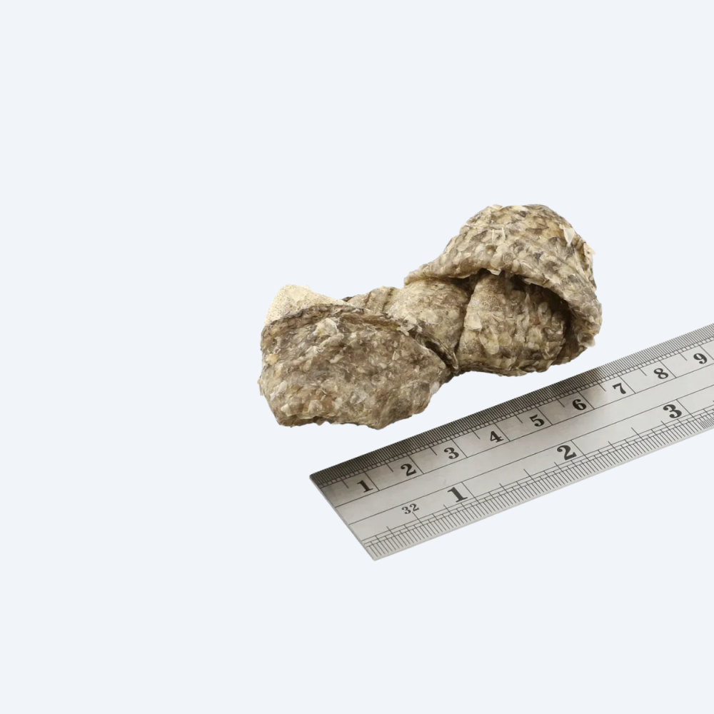 Натуральні ласощі для собак Fish4Dogs Sea Jerky Рибні вузли 100г