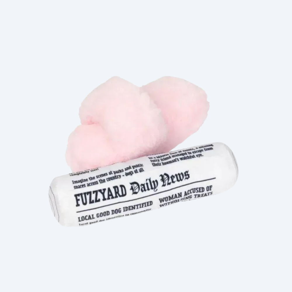 Набір м'яких іграшок для собак FuzzYard Несіть тапки та пресу
