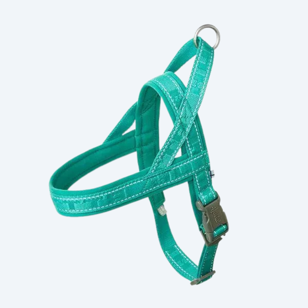 Пом'якшена шлея для собак Hurtta Casual Harness ECO Бірюзовий 30–35см