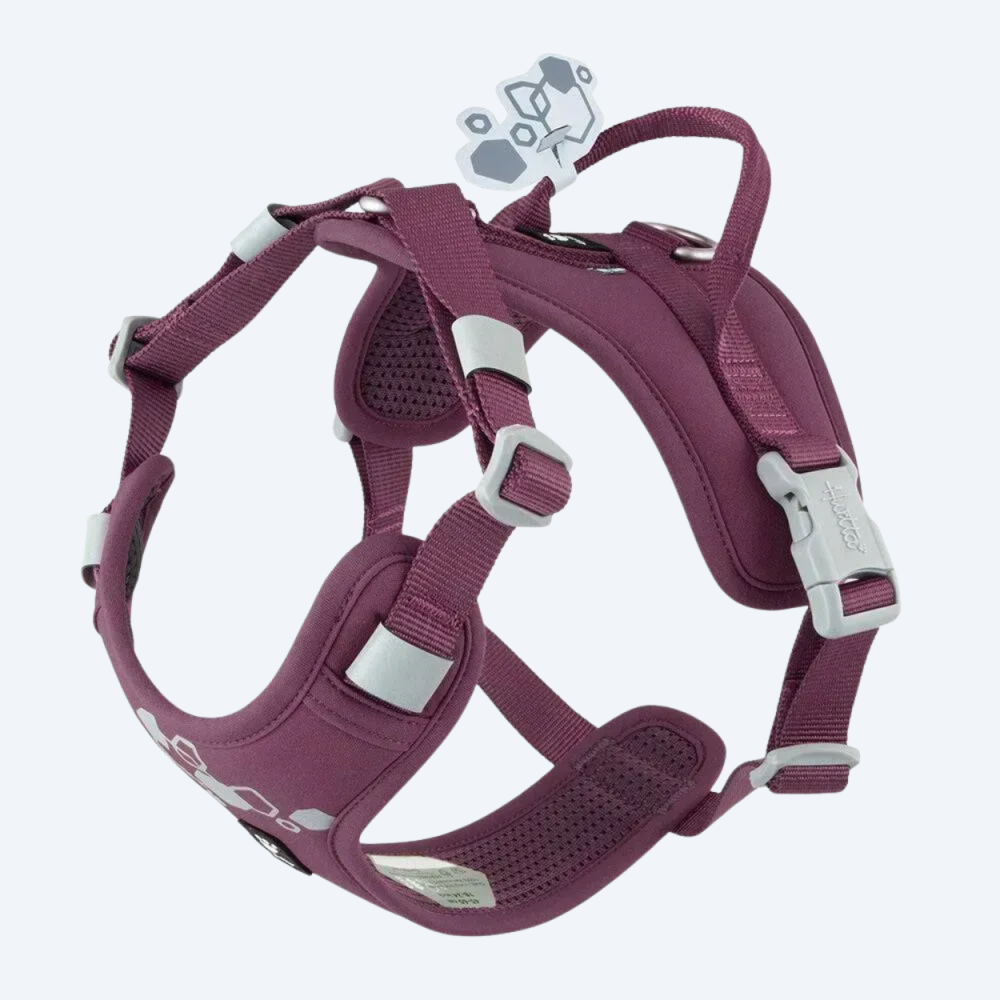 Шлейка пом'якшена для собак Hurtta Weekend Warrior Harness II ECO Фіолетовий 40–50см