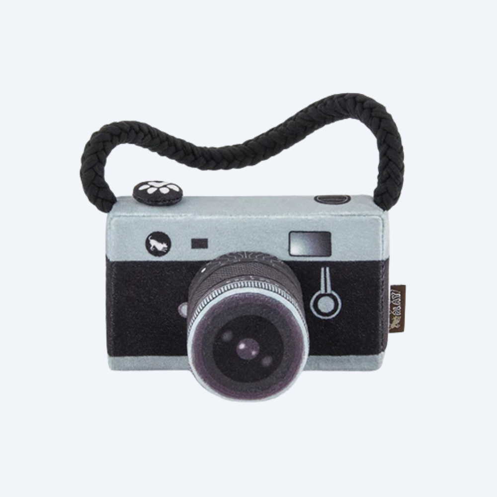 Іграшка для собак Globetrotter Collection – Camera Pet Play