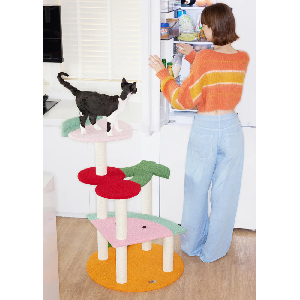 Кігтеточка для котів Vetreska Fruit Frenzy Cat Climber