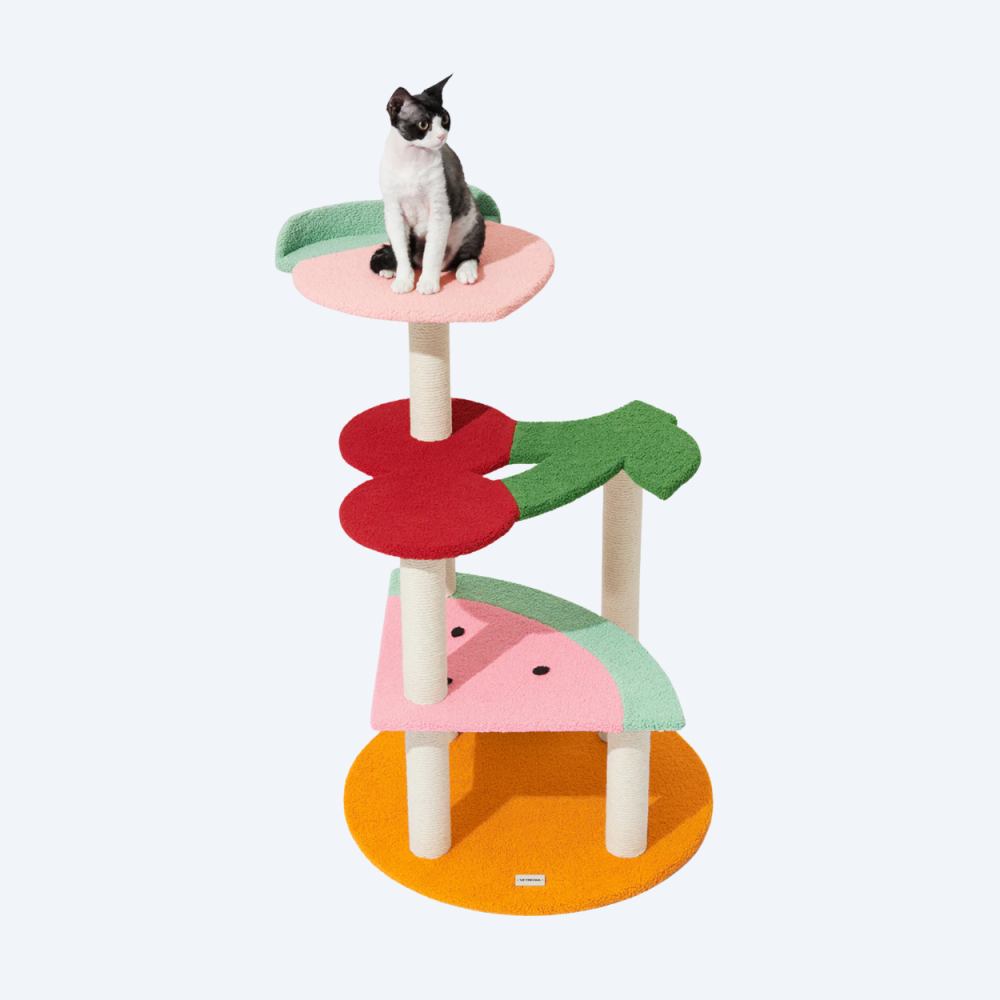 Кігтеточка для котів Vetreska Fruit Frenzy Cat Climber