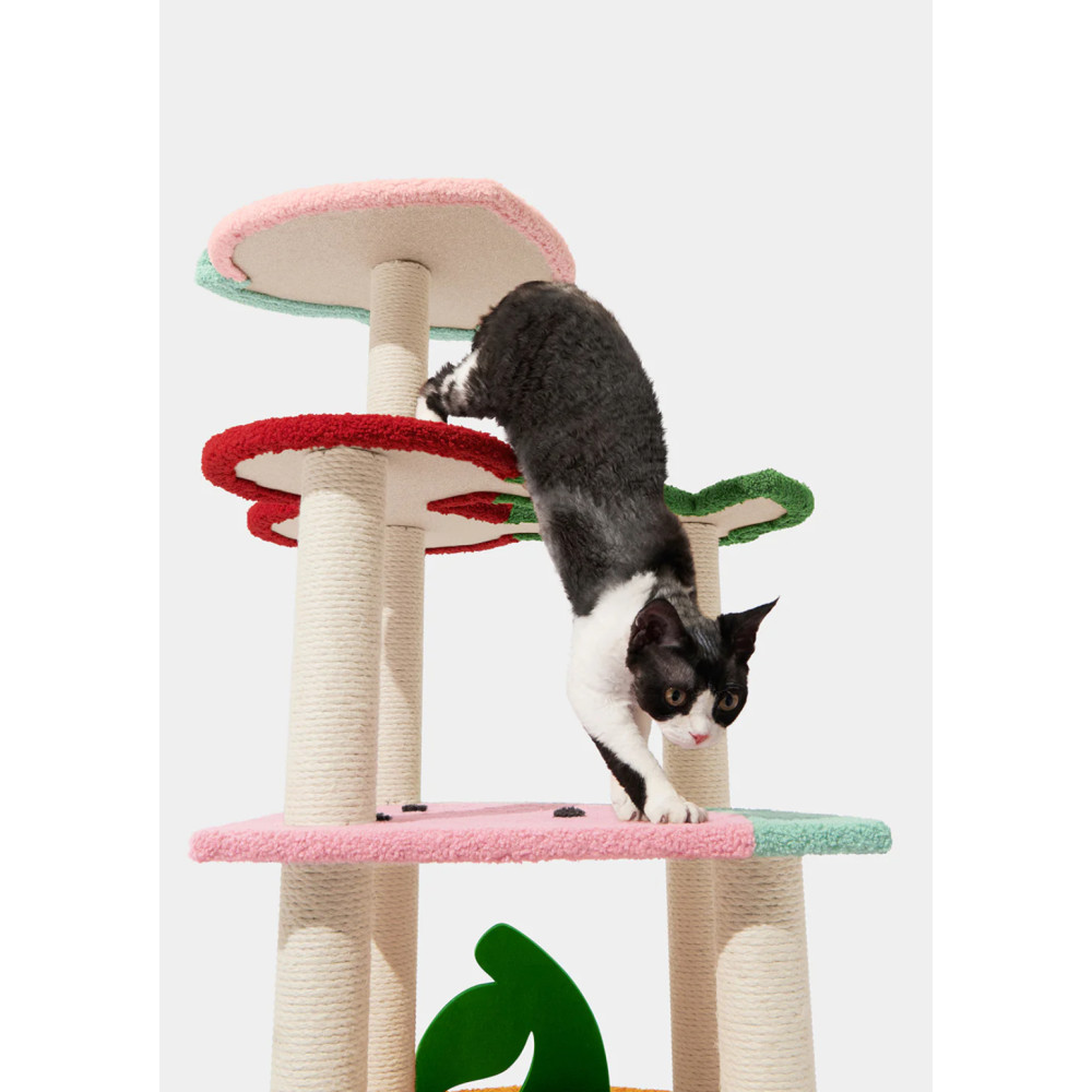 Кігтеточка для котів Vetreska Fruit Frenzy Cat Climber