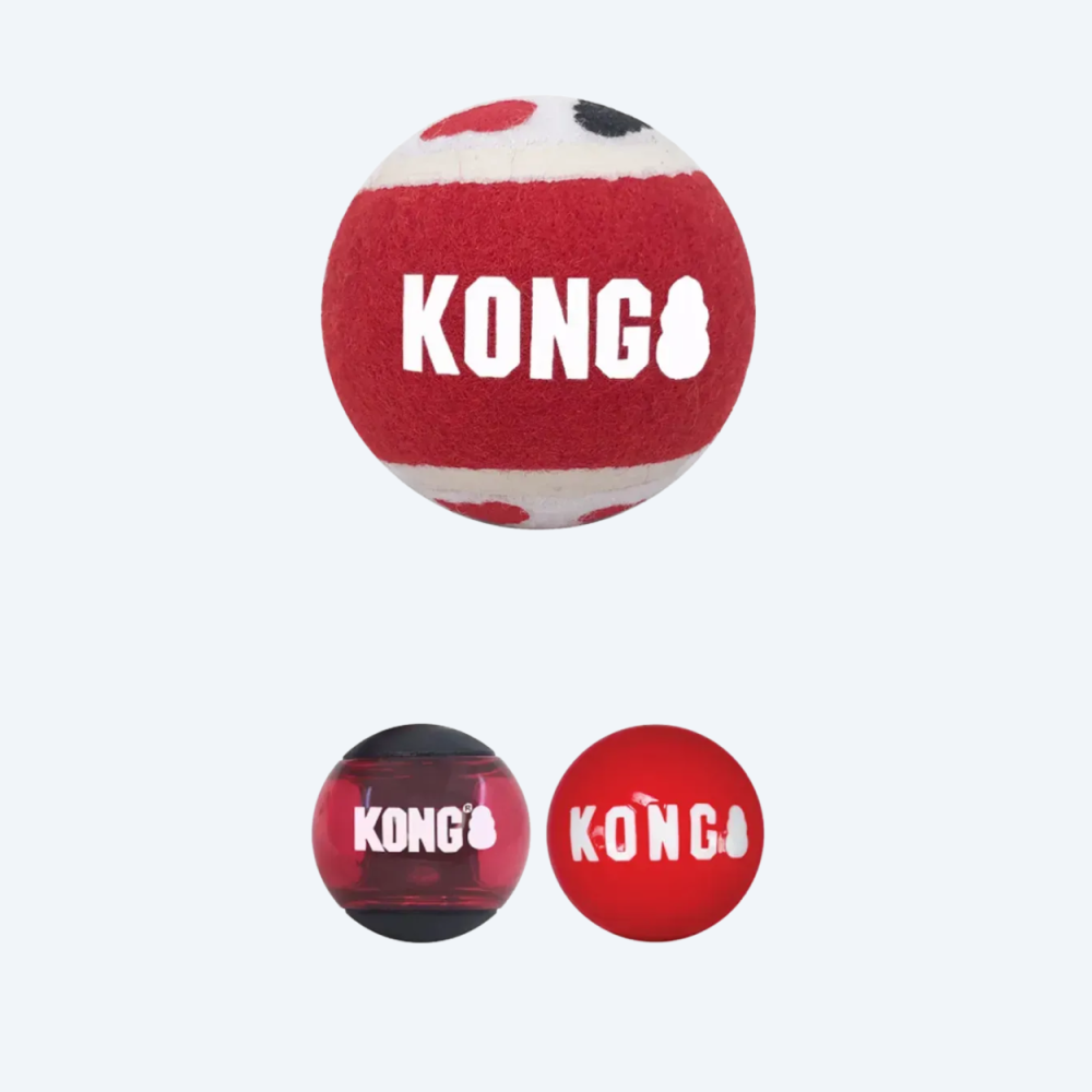 Іграшка для собак KONG Signature Balls 3 шт. L