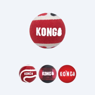 Іграшка для собак KONG Signature Balls 4 шт. S