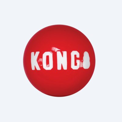 Іграшка для собак KONG Signature Ball 1 шт  M