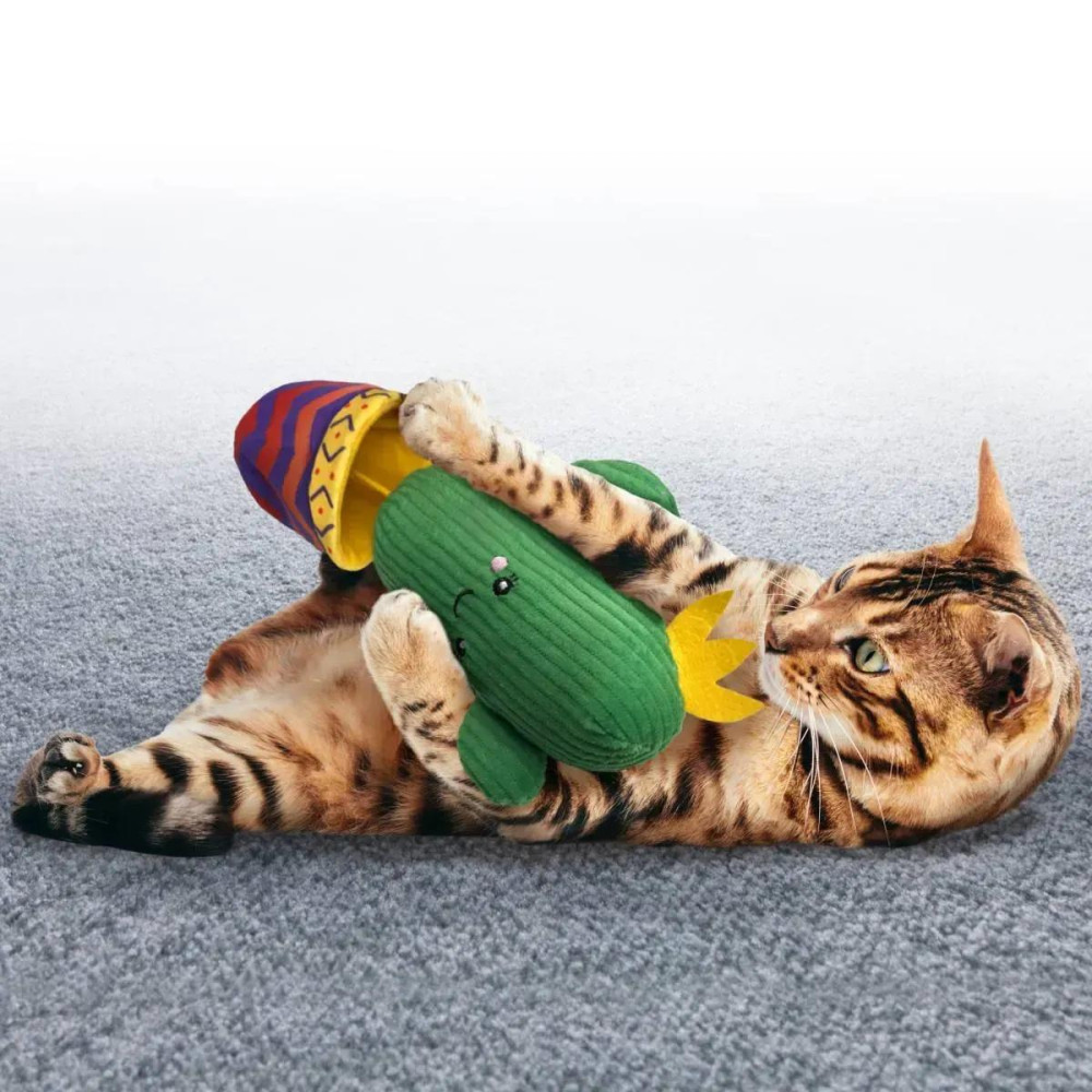 Іграшка для котів KONG Wrangler Cactus