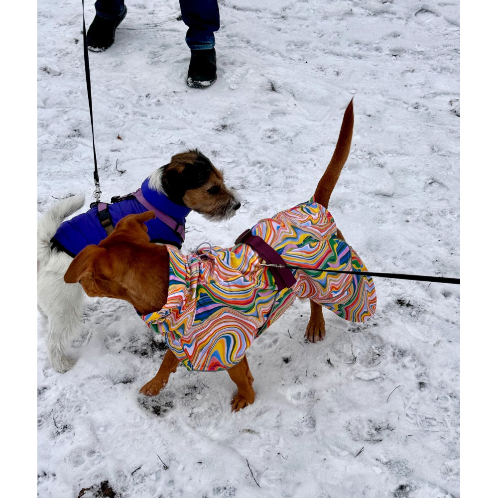 Куртка для собак Born to Vibe Snousey, XXS