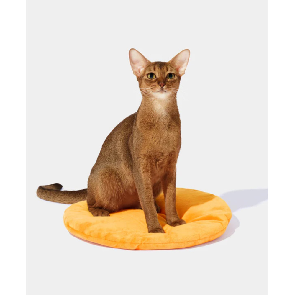 Лежанка-будиночок Vetreska Tangerine Rattan для котів і маленьких собак