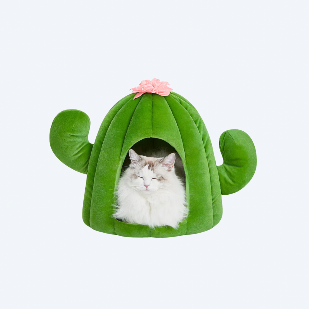 Лежанка для котів і собак Vetreska Oasis Cactus