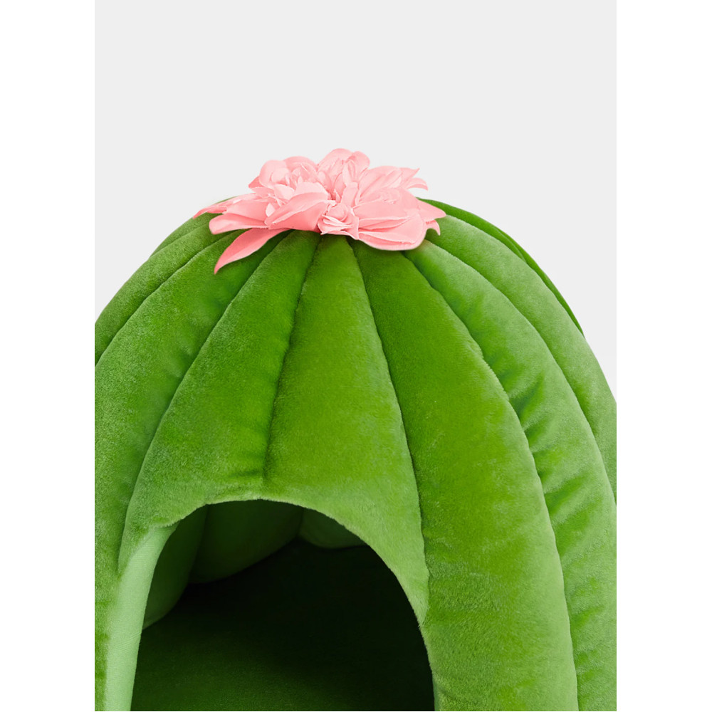 Лежанка для котів і собак Vetreska Oasis Cactus