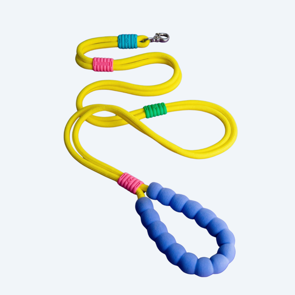 Повідець для собак Maogoublue Marshmallow Smart Yellow