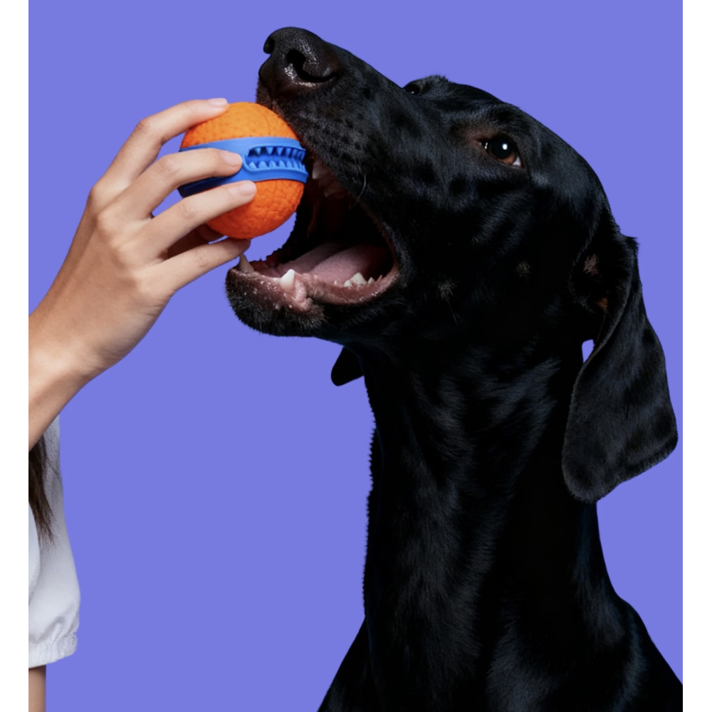 Надміцна іграшка для собак Maogoublue Rubber Ball
