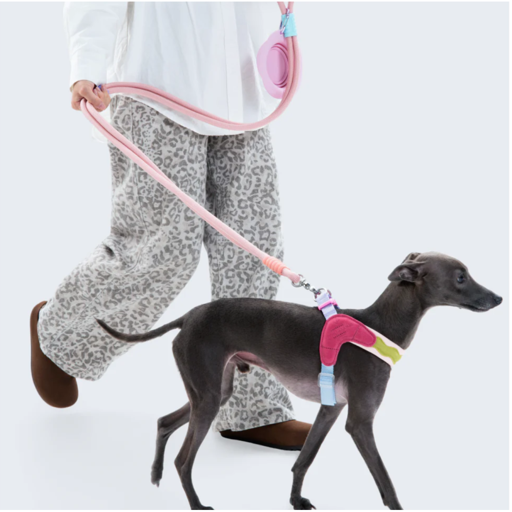ШЛЕЯ ДЛЯ СОБАК Maogoublue - Hawaii  ADJUSTABLE HARNESS, XXS