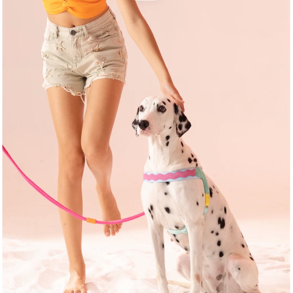 ШЛЕЯ ДЛЯ СОБАК Maogoublue - Bail coast ADJUSTABLE HARNESS, XXS