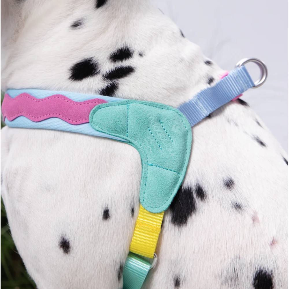 ШЛЕЯ ДЛЯ СОБАК Maogoublue - Bail coast ADJUSTABLE HARNESS, XXS