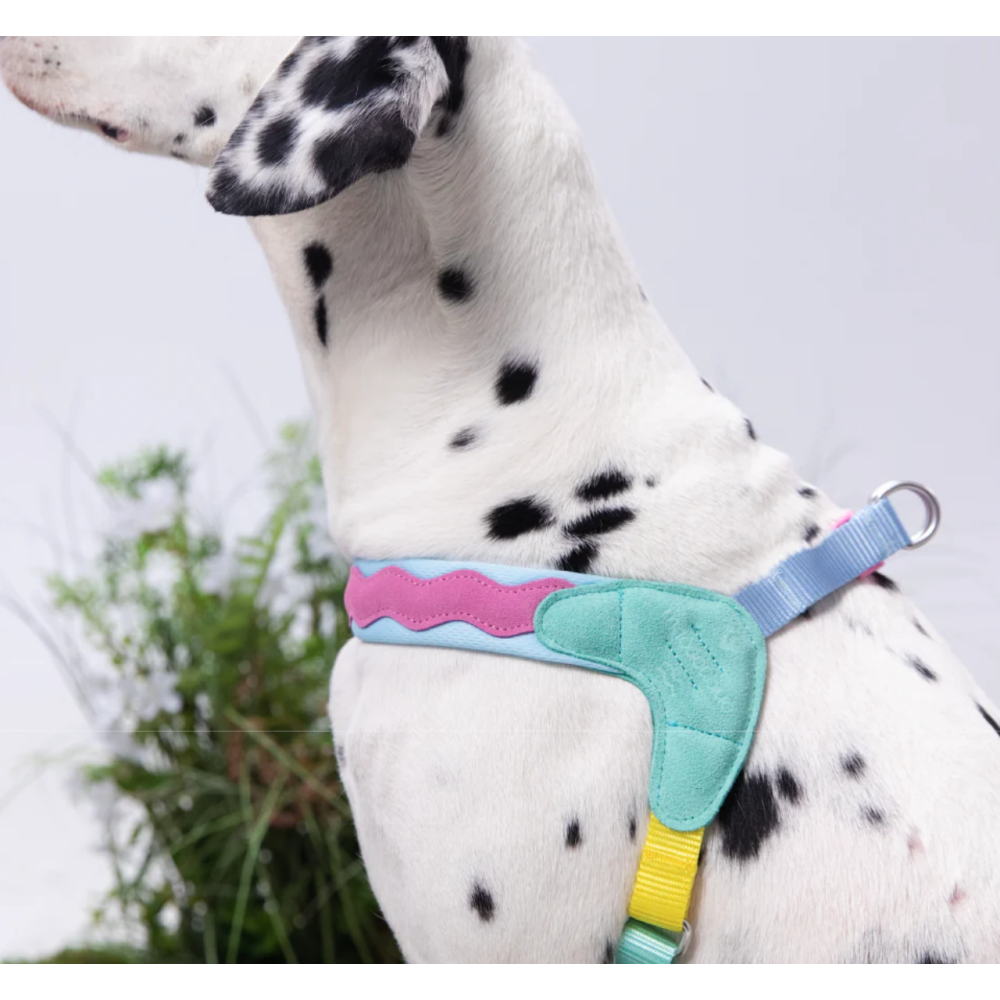 ШЛЕЯ ДЛЯ СОБАК Maogoublue - Bail coast ADJUSTABLE HARNESS, XXS